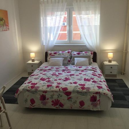Studio Apatrman Pijalovic Bjelovar Exteriér fotografie